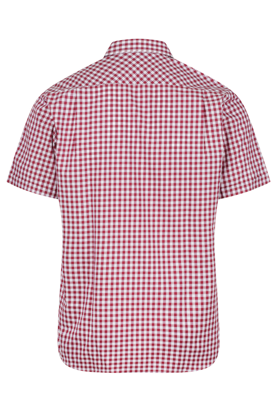 Brighton Custom Shirt Sleeve Business Shirt - Claret Back