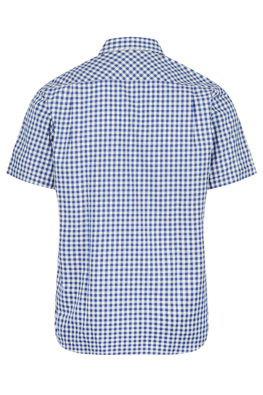 Brighton Custom Shirt Sleeve Business Shirt - French Blue back